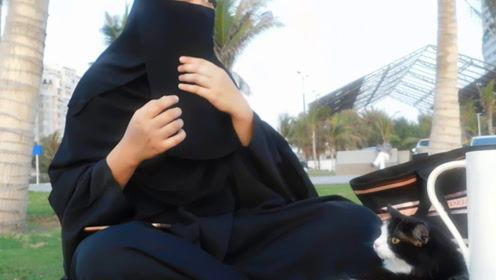 娱乐吃瓜君吖,揭秘娱乐圈幕后故事